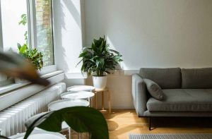 Оренда житла в Німеччині – як змінюється законодавство, нові тенденції та чого очікувати українцям і мігрантам