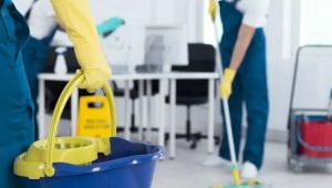 Податки на заробітну плату в Німеччині, ключові моменти, і як їх порахувати?